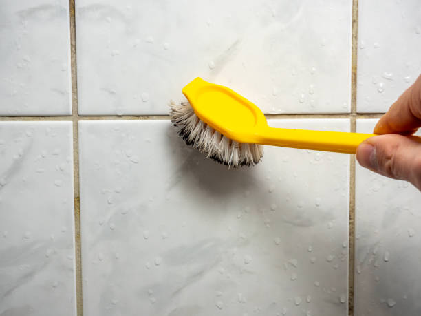 Attic Mold Removal in Bonsall, CA