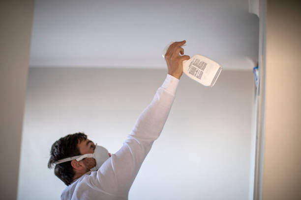 Best Mold Removal Process  in Bonsall, CA