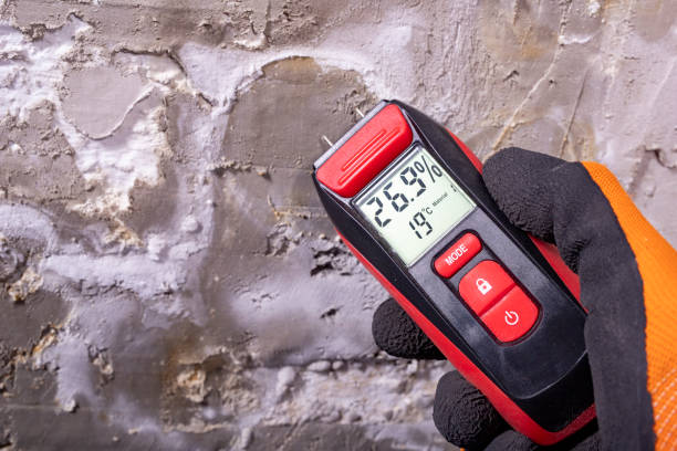 Best Mold Remediation  in Bonsall, CA